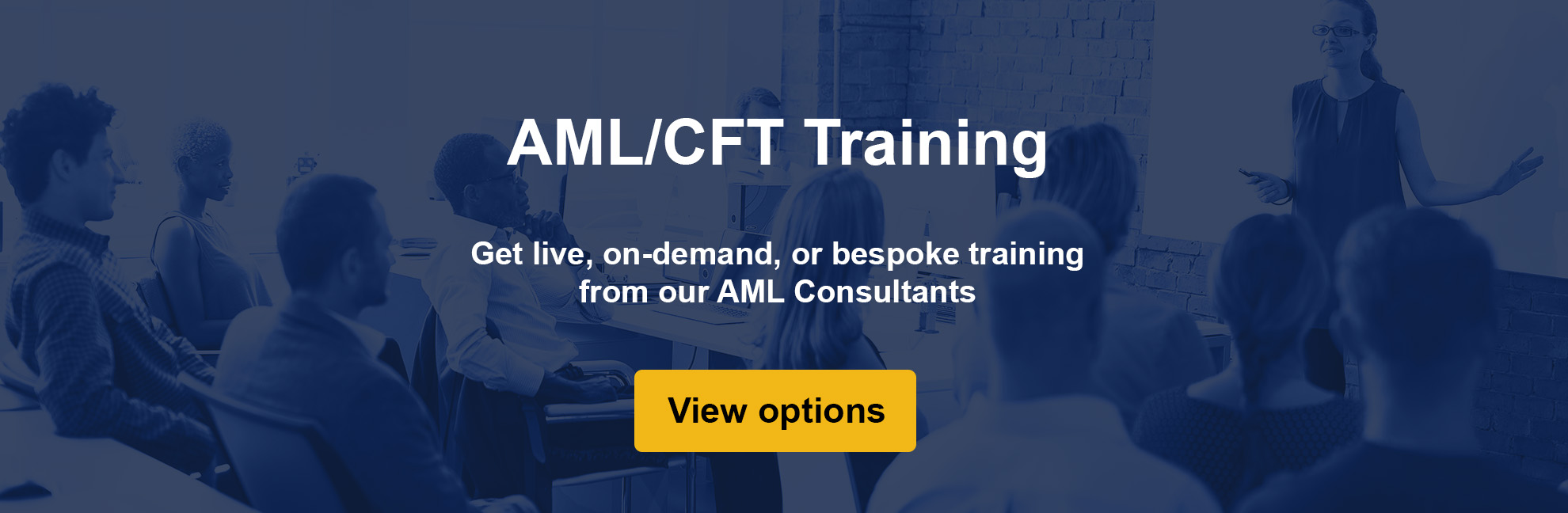 See the AML Solutions training options